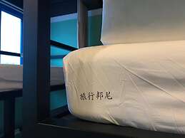 Tourist Bunny - Hostel