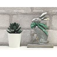 Tourist Bunny - Hostel