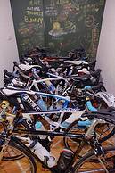 Tourist Bunny - Hostel