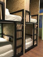 Tourist Bunny - Hostel