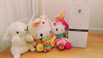 Rainbow Guesthouse