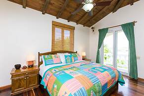 Coral Vista #3