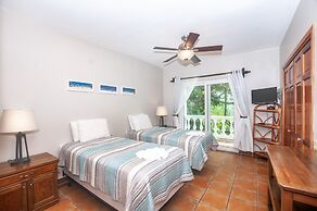 Coral Vista #5
