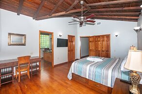 Coral Vista #5