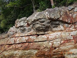 The Room Concept Homestay