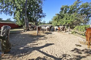 Turtle Bay Hula House Budget Nuc 90-tvu-0566 1 Bedroom Condo by RedAwn