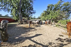 Turtle Bay Lilikoi**ta-009966796801 1 Bedroom Condo by RedAwning