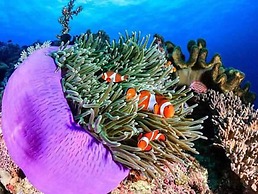 Lanta Hostel - Adults Only