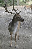 Villapiana Country House