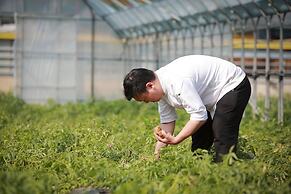 PARK ROCHE Resort & Wellness