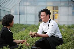 PARK ROCHE Resort & Wellness