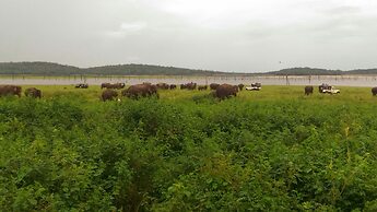 Sigiri Thilanka Rest