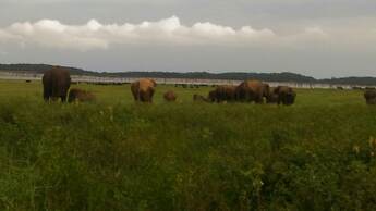 Sigiri Thilanka Rest