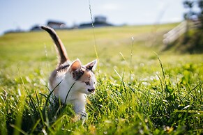 Residence Speckerhof