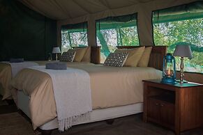 Nkwe Safari Lodge
