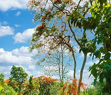 Lar Amorosa Boutique Hotel - Goa