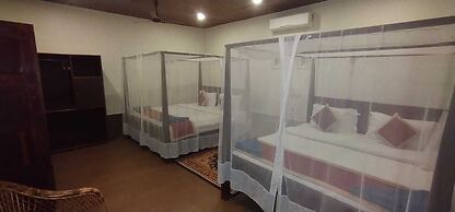 Palm Trees Ayurvedic Heritage