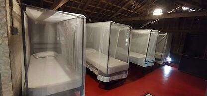 Palm Trees Ayurvedic Heritage