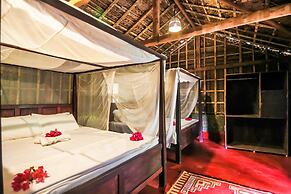 Palm Trees Ayurvedic Heritage