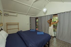 Palm Trees Ayurvedic Heritage