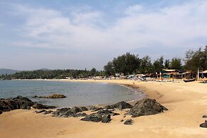 Palm Trees Ayurvedic Heritage