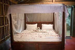 Palm Trees Ayurvedic Heritage