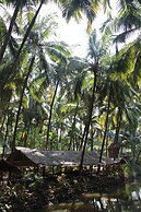 Palm Trees Ayurvedic Heritage