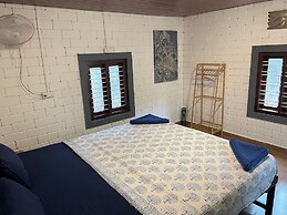 Palm Trees Ayurvedic Heritage