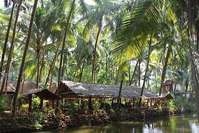 Palm Trees Ayurvedic Heritage