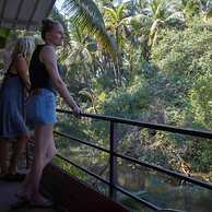 Palm Trees Ayurvedic Heritage