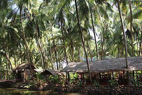 Palm Trees Ayurvedic Heritage