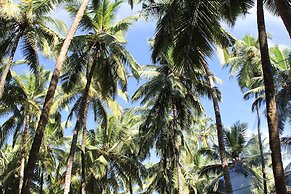 Palm Trees Ayurvedic Heritage