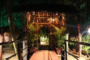 Palm Trees Ayurvedic Heritage