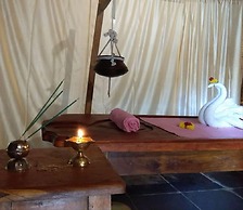 Palm Trees Ayurvedic Heritage