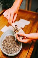 AC Hotel by Marriott Tampa Airport