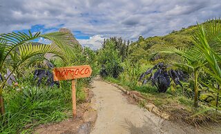 Masaya Collection San Agustin