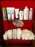 Southern Cross Inn Matsumoto