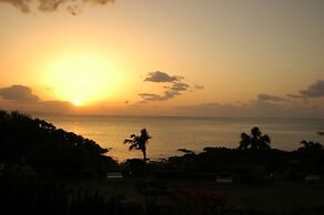 Yakushima Green Hotel