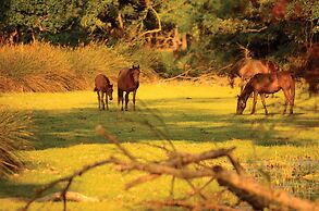 Formback Thermal Hotel Bursa