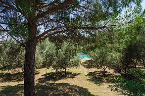 Agriturismo la Fragolaia