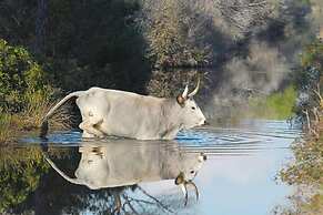 Agriturismo la Fragolaia