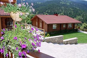 Xenios Chalets