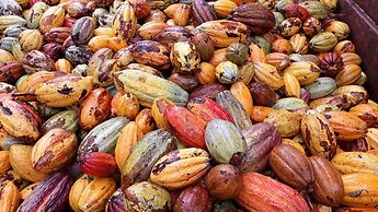 Roça Santo António Ecolodge Hotel