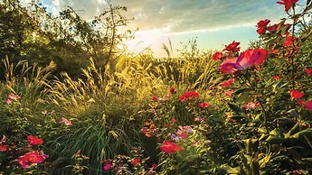 Holiday Inn Club Vacations Villages Resort at Lake Palestine by IHG