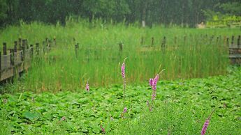 Holiday Inn Kunshan Huaqiao by IHG