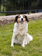 Assos Kartal Yuvası Boutique Hotel