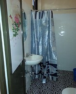 V.Hauschild Transient House B