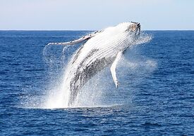 On the Beach Getaway