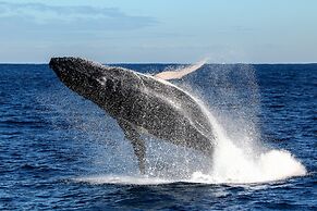 On the Beach Getaway