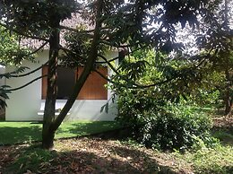 The Durian Lodge at Mekong